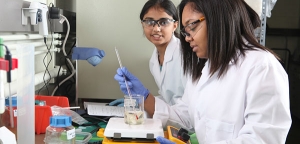 Two students in a Biomedical Engineering lab