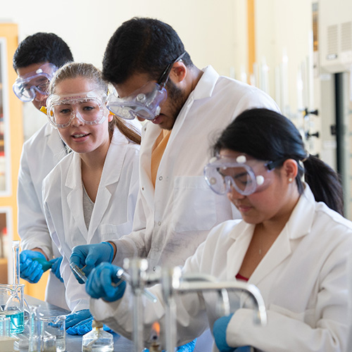 Students in labcoats work in lab