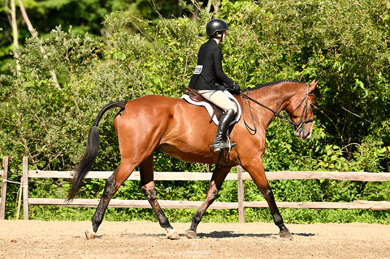 Sara Laprade on a horse during a dressage competition