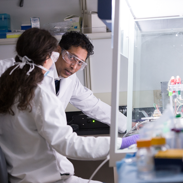 Professor working with a student in a lab